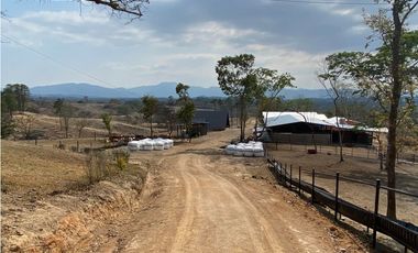 RANCHO EN EXPLOTACIÓN EN EL KM 29 OCOzOCOAUTLA - VILLAFLORES
