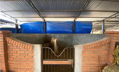 RANCHO EN EXPLOTACIÓN EN EL KM 29 OCOzOCOAUTLA - VILLAFLORES
