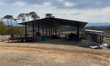 RANCHO EN EXPLOTACIÓN EN EL KM 29 OCOzOCOAUTLA - VILLAFLORES