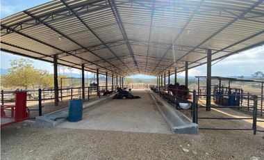 RANCHO EN EXPLOTACIÓN EN EL KM 29 OCOzOCOAUTLA - VILLAFLORES