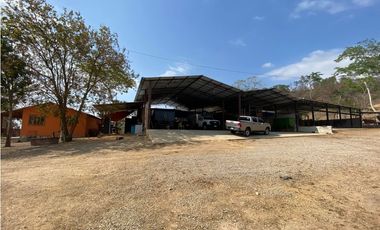 RANCHO EN EXPLOTACIÓN EN EL KM 29 OCOzOCOAUTLA - VILLAFLORES