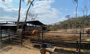RANCHO EN EXPLOTACIÓN EN EL KM 29 OCOzOCOAUTLA - VILLAFLORES
