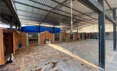 RANCHO EN EXPLOTACIÓN EN EL KM 29 OCOzOCOAUTLA - VILLAFLORES