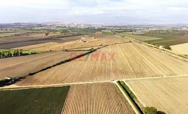 Oportunidad Agrícola En San Vicente De Cañete – Proyecto Mamala 🚜🌱