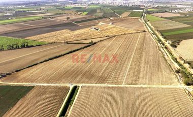 Oportunidad Agrícola En San Vicente De Cañete – Proyecto Mamala 🚜🌱