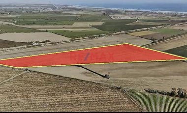 Oportunidad Agrícola En San Vicente De Cañete – Proyecto Mamala 🚜🌱