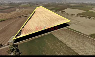 Oportunidad Agrícola En San Vicente De Cañete – Proyecto Mamala 🚜🌱