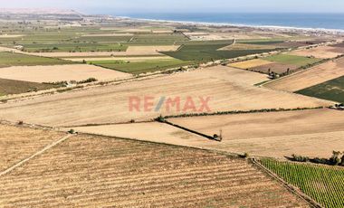 Oportunidad Agrícola En San Vicente De Cañete – Proyecto Mamala 🚜🌱
