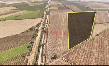 Oportunidad Agrícola En San Vicente De Cañete – Proyecto Mamala 🚜🌱