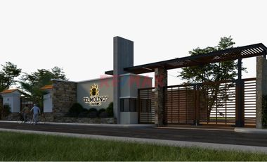 Oportunidad única en El Molino, con proyecto de lotización incluido.

🌟 ¡Haz realidad tu próximo gran proyecto inmobiliario! Este amplio terreno de