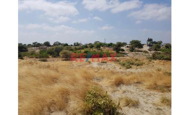 Oportunidad única en El Molino, con proyecto de lotización incluido.

🌟 ¡Haz realidad tu próximo gran proyecto inmobiliario! Este amplio terreno de