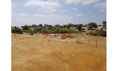 Oportunidad única en El Molino, con proyecto de lotización incluido.

🌟 ¡Haz realidad tu próximo gran proyecto inmobiliario! Este amplio terreno de