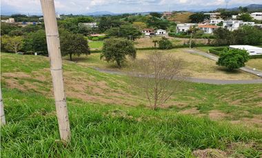 VENDEMOS LOTE CAMPESTRE CON EXCELENTE VISTA EN CARTAGO