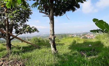 Tanah View Bagus Cocok untuk Villa di Padasuka