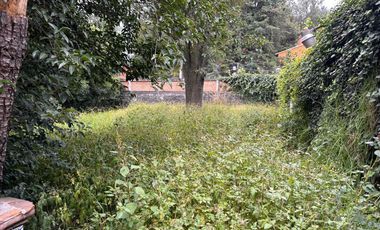 Terreno en Renta en LA MAGDALENA
