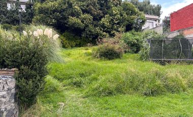 Terreno en Renta en LA MAGDALENA