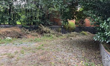 Terreno en Renta en LA MAGDALENA