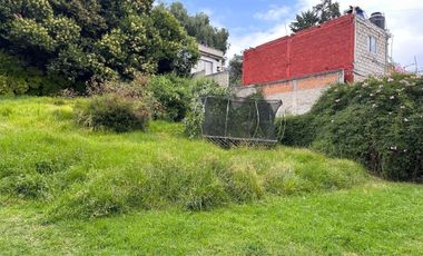 Terreno en Renta en LA MAGDALENA
