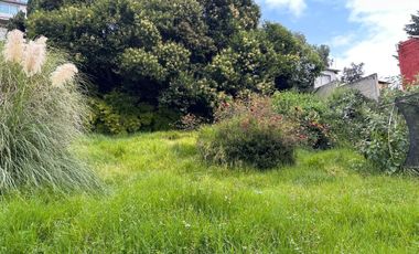 Terreno en Renta en LA MAGDALENA
