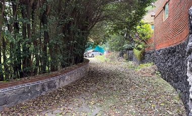 Terreno en Renta en LA MAGDALENA