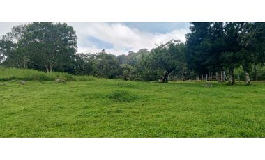 Excelente oportunidad! Vendo hermoso terreno de 2 ha en Boquete!