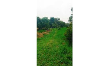 Excelente oportunidad! Vendo hermoso terreno de 2 ha en Boquete!