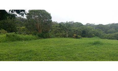 Excelente oportunidad! Vendo hermoso terreno de 2 ha en Boquete!