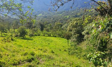 VENTA FINCA CON FRENTE A LA VÍA, 22 Ha., a 5 min. de Nanagalito. G.BE_Aqt