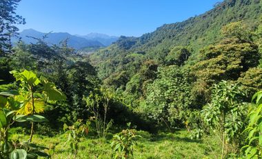 VENTA FINCA CON FRENTE A LA VÍA, 22 Ha., a 5 min. de Nanagalito. G.BE_Aqt