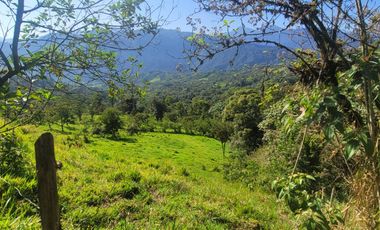 VENTA FINCA CON FRENTE A LA VÍA, 22 Ha., a 5 min. de Nanagalito. G.BE_Aqt