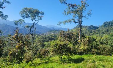 VENTA FINCA CON FRENTE A LA VÍA, 22 Ha., a 5 min. de Nanagalito. G.BE_Aqt