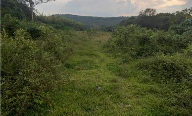 LOTE EN PRADERA PALMIRA