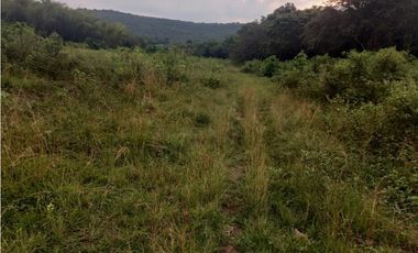 LOTE EN PRADERA PALMIRA