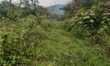 LOTE EN PRADERA PALMIRA