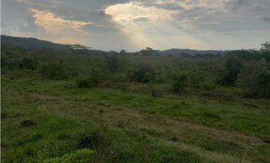 LOTE EN PRADERA PALMIRA