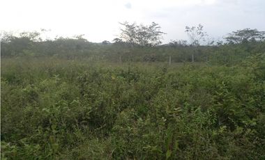 LOTE EN PRADERA PALMIRA