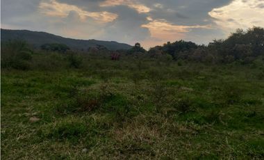 LOTE EN PRADERA PALMIRA