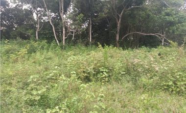 LOTE EN PRADERA PALMIRA