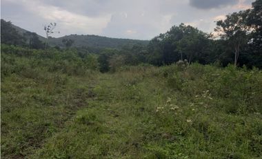 LOTE EN PRADERA PALMIRA