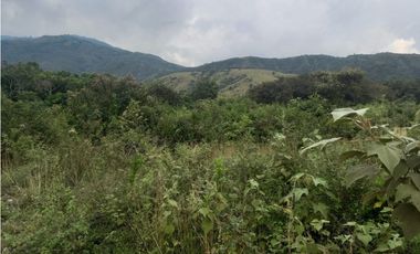 LOTE EN PRADERA PALMIRA