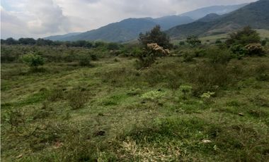 LOTE EN PRADERA PALMIRA