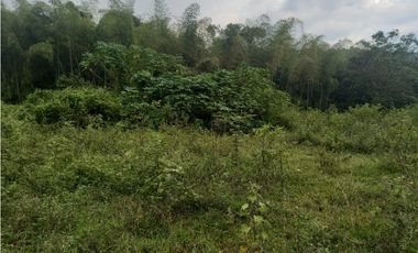 LOTE EN PRADERA PALMIRA