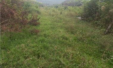 LOTE EN PRADERA PALMIRA