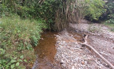 LOTE EN PRADERA PALMIRA