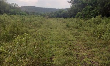 LOTE EN PRADERA PALMIRA