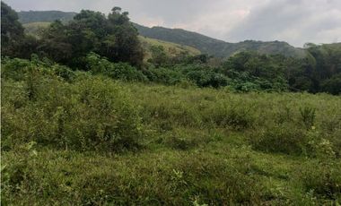 LOTE EN PRADERA PALMIRA