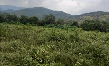 LOTE EN PRADERA PALMIRA