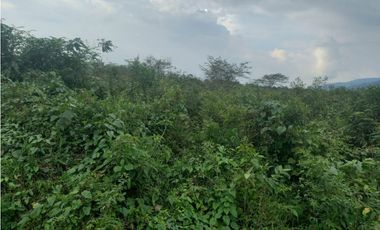 LOTE EN PRADERA PALMIRA