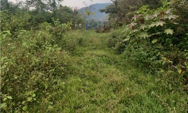 LOTE EN PRADERA PALMIRA