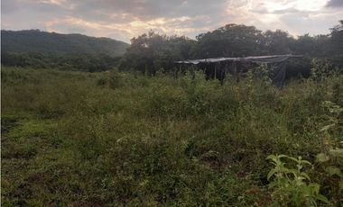 LOTE EN PRADERA PALMIRA